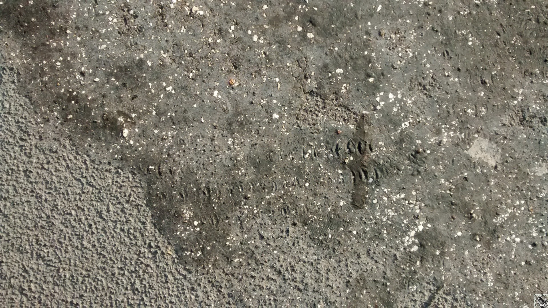 Image for Solvent for dissolving asphalt tar?